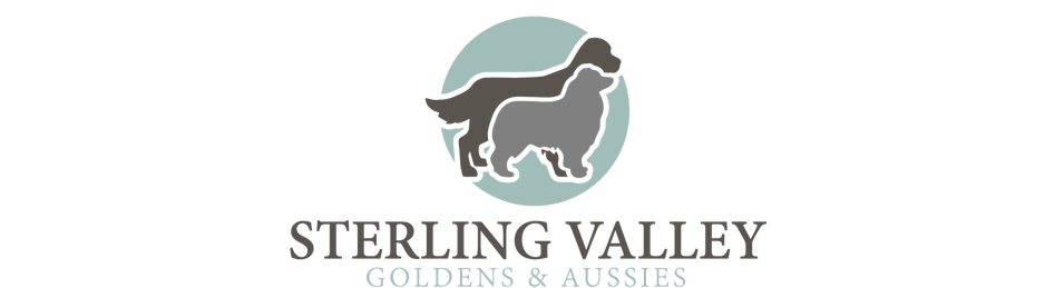 STERLING VALLEY GOLDENS AND AUSSIES